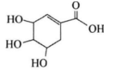 中学化学学科知识与教学能力,章节练习,基础复习,高级中学