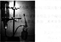 中学化学学科知识与教学能力,章节练习,基础复习,高级中学
