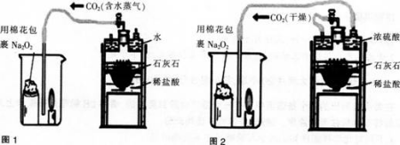 中学化学学科知识与教学能力,章节练习,基础复习,高级中学