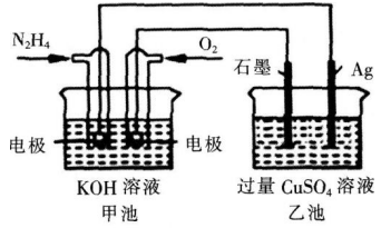 中学化学学科知识与教学能力,章节练习,基础复习,高级中学