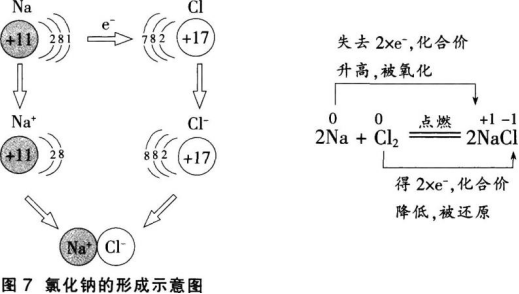 中学化学学科知识与教学能力,章节练习,基础复习,高级中学