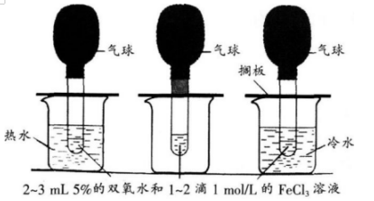 中学化学学科知识与教学能力,章节练习,基础复习,高级中学