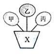 中学化学学科知识与教学能力,预测试卷,2021年教师资格证《化学学科知识与教学能力》（初级中学）预测试卷2