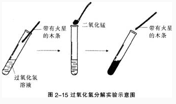 中学化学学科知识与教学能力,模拟考试,2021年教师资格证《化学学科知识与教学能力》（初级中学）模拟试卷1