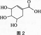 中学化学学科知识与教学能力,章节练习,基础复习,专项训练