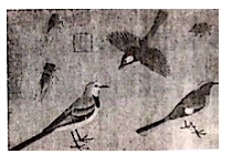 中学美术学科知识与教学能力,真题专项训练,高中美术,学科知识
