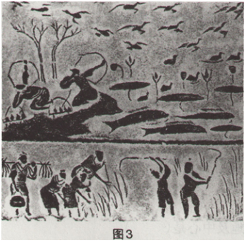 中学美术学科知识与教学能力,章节练习,基础复习,初级中学