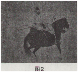 中学美术学科知识与教学能力,章节练习,基础复习,初级中学