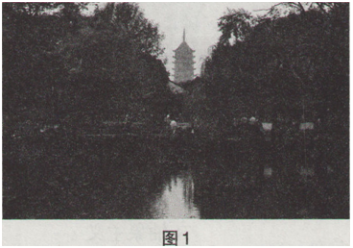 中学美术学科知识与教学能力,章节练习,基础复习,初级中学