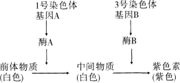 中学生物学科知识与教学能力,黑钻押题,2022年下半年教师资格《高中生物学科知识与教学能力》黑钻押题