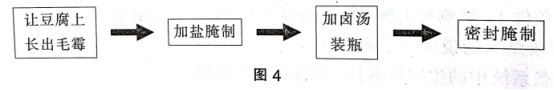 中学生物学科知识与教学能力,章节练习,基础复习,初中生物专项训练