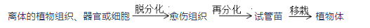 中学生物学科知识与教学能力,章节练习,基础复习,初中生物专项训练