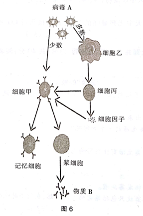 中学生物学科知识与教学能力,章节练习,基础复习,初中生物专项训练