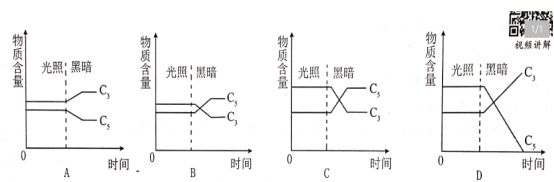 中学生物学科知识与教学能力,章节练习,基础复习,初中生物专项训练