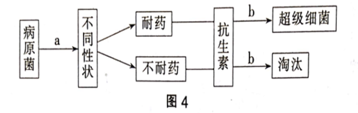 中学生物学科知识与教学能力,章节练习,基础复习,初中生物专项训练