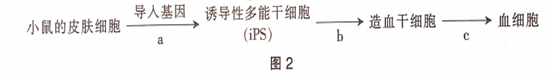 中学生物学科知识与教学能力,章节练习,基础复习,初中生物专项训练