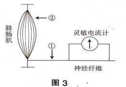 中学生物学科知识与教学能力,章节练习,基础复习,初中生物专项训练