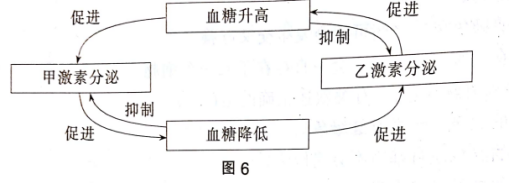 中学生物学科知识与教学能力,章节练习,基础复习,初中生物专项训练