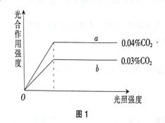 中学生物学科知识与教学能力,章节练习,基础复习,初级中学