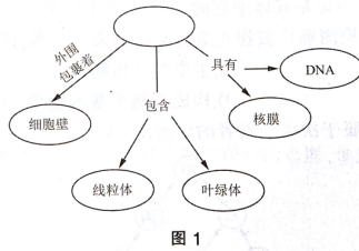 中学生物学科知识与教学能力,章节练习,基础复习,初中生物专项训练