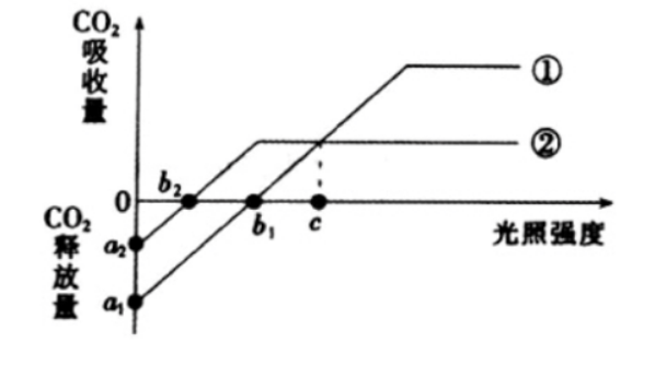 中学生物学科知识与教学能力,章节练习,基础复习,高中生物专项训练