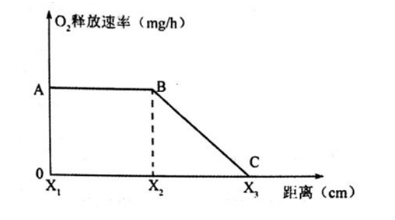 中学生物学科知识与教学能力,章节练习,基础复习,高中生物专项训练