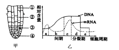 中学生物学科知识与教学能力,章节练习,基础复习,高中生物专项训练