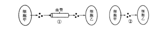 中学生物学科知识与教学能力,章节练习,基础复习,高中生物专项训练