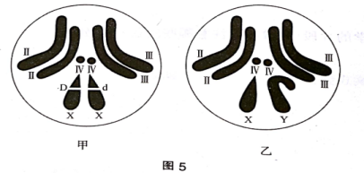 中学生物学科知识与教学能力,章节练习,基础复习,初中生物专项训练