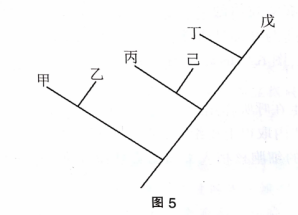 中学生物学科知识与教学能力,章节练习,基础复习,初中生物专项训练