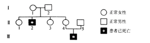中学生物学科知识与教学能力,章节练习,基础复习,高级中学