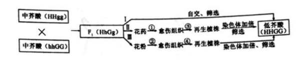 中学生物学科知识与教学能力,章节练习,基础复习,高中生物专项训练