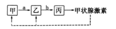 中学生物学科知识与教学能力,章节练习,基础复习,高中生物专项训练