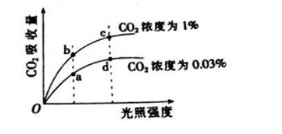 中学生物学科知识与教学能力,章节练习,基础复习,高中生物专项训练