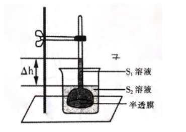 中学生物学科知识与教学能力,章节练习,基础复习,高中生物专项训练