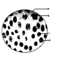 中学生物学科知识与教学能力,章节练习,基础复习,高中生物专项训练