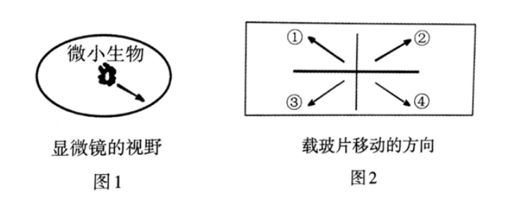 中学生物学科知识与教学能力,章节练习,基础复习,高中生物专项训练 中学生物学科知识与教学能力,章节练习,基础复习,高中生物专项训练