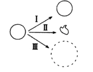 中学生物学科知识与教学能力,章节练习,基础复习,高级中学