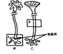 中学生物学科知识与教学能力,章节练习,基础复习,高中生物专项训练