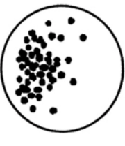 中学生物学科知识与教学能力,章节练习,基础复习,高中生物专项训练 中学生物学科知识与教学能力,章节练习,基础复习,高中生物专项训练