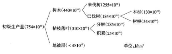 中学生物学科知识与教学能力,章节练习,基础复习,高中生物专项训练