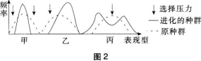 中学生物学科知识与教学能力,黑钻押题,2022年下半年教师资格《初中生物学科知识与教学能力》黑钻押题