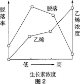 中学生物学科知识与教学能力,黑钻押题,2022年下半年教师资格《初中生物学科知识与教学能力》黑钻押题