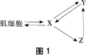 中学生物学科知识与教学能力,黑钻押题,2022年下半年教师资格《初中生物学科知识与教学能力》黑钻押题