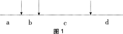 中学生物学科知识与教学能力,黑钻押题,2022年下半年教师资格《初中生物学科知识与教学能力》黑钻押题