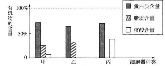 中学生物学科知识与教学能力,历年真题,2019年上半年教师资格证考试《生物学科知识与教学能力》（初级中学）真题