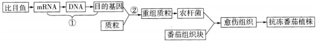 中学生物学科知识与教学能力,历年真题,2019年上半年教师资格证考试《生物学科知识与教学能力》（高级中学）真题