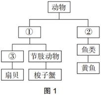 中学生物学科知识与教学能力,历年真题,2019年下半年教师资格证考试《生物学科知识与教学能力》（初级中学）真题