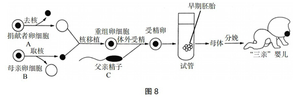 中学生物学科知识与教学能力,历年真题,2019年下半年教师资格证考试《生物学科知识与教学能力》（初级中学）真题