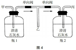 中学生物学科知识与教学能力,历年真题,2019年下半年教师资格证考试《生物学科知识与教学能力》（初级中学）真题